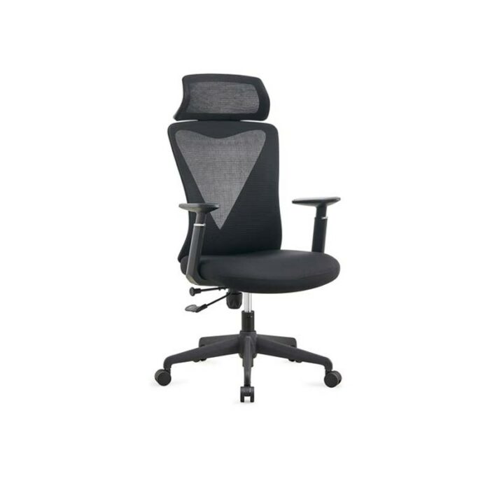FAUTEUIL ERGONOMIQUE LEESDS  AVEC LE SUPPORT LOMBAIRE – Image 2