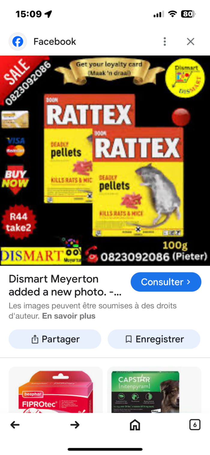 Rattex