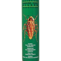 King insecticide cafard