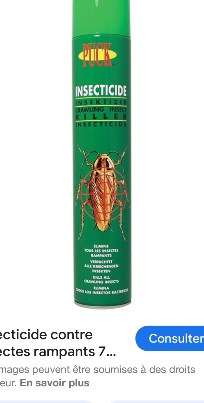 King insecticide cafard